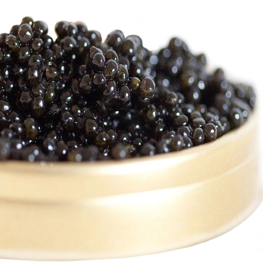 Kaluga Black Caviar – "River Beluga" Roe, Large Pearls, Malossol Cure 250g