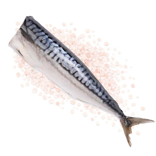 Salted Whole Mackerel, Headless & Gutted, Vacuum Pack, Dauparu Zuvis, 370g / 13.05 oz