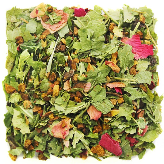 Pack 4 Chaga-Tea with Currant Leaf & Apple "Voice of North", Russian Ivan Tea, 20 sachets x 4