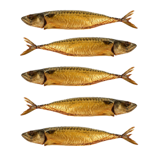 PACK of 5 Hot Smoked Mackerel, Haifa, 15.87oz x 5