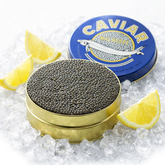Premium Kaluga Fish Black Caviar – "River Beluga" Sturgeon Roe 500g