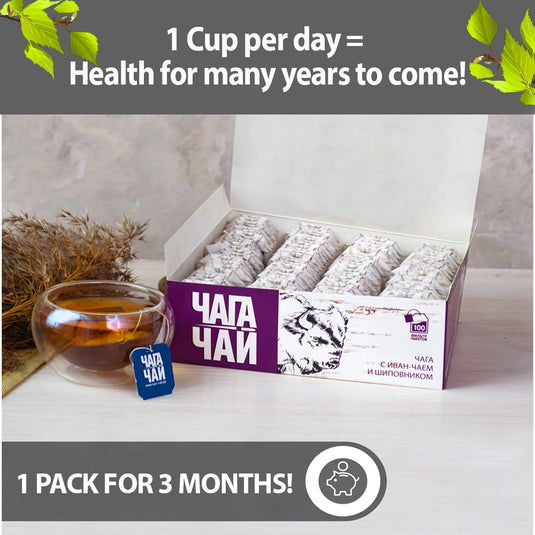 Pack 2 Chaga Tea Drink with Rosehip & Ivan Tea "Wild Power", 100 tea bags x 2