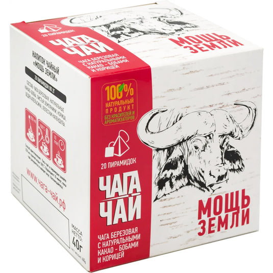 Чаговый чай с какао-бобами и корицей «Сила Земли», 20 пирамидок